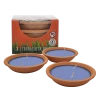 Wax Works Waxworks Citronella Terracotta Dishes - Candles