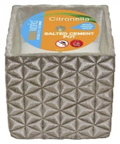 Wax Works Waxworks Salted Cement Pot Furniture & Patio