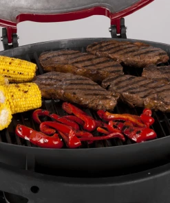 BBQ Warehouse Ziggy By Ziegler & Brown Twin Grill LP Gas Model - Chilli Red Gas Grill 20 BBQ Warehouse Ziggy By Ziegler & Brown Twin Grill LP Gas Model - Chilli Red Gas Grill